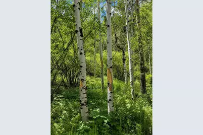 0 County Road 59, Allenspark, CO 80510 - Photo 14