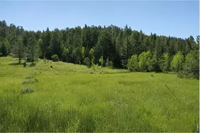 0 County Road 59, Allenspark, CO 80510 - Photo 24