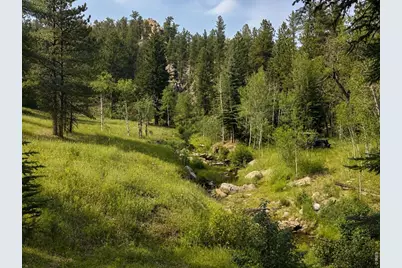 0 County Road 59, Allenspark, CO 80510 - Photo 12