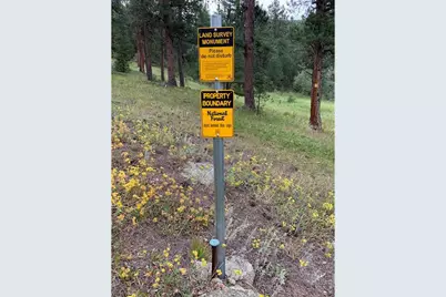 0 County Road 59, Allenspark, CO 80510 - Photo 40