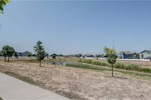 1617 Northcroft Dr, Windsor, CO 80550 - Photo 38
