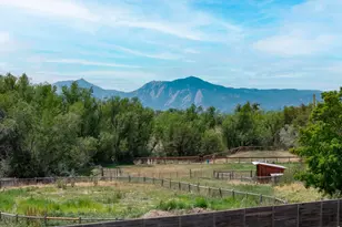 4481 Clay St, Boulder, CO 80301 - Photo 38