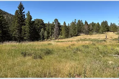 Pratt Creek Rd, Livermore, CO 80536 - Photo 16