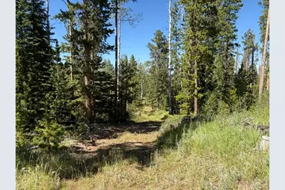Pratt Creek Rd, Livermore, CO 80536 - Photo 8