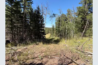 Pratt Creek Rd, Livermore, CO 80536 - Photo 10