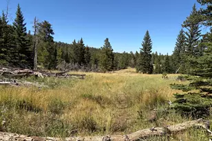 Pratt Creek Rd, Livermore, CO 80536 - Photo 1
