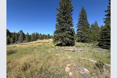 Pratt Creek Rd, Livermore, CO 80536 - Photo 14