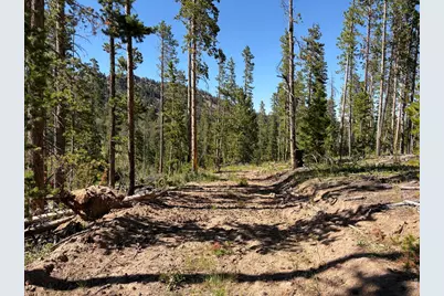 Pratt Creek Rd, Livermore, CO 80536 - Photo 6