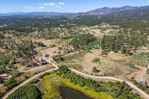 478 Wapiti Rd, Red Feather Lakes, CO 80545 - Photo 26