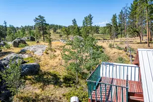 478 Wapiti Rd, Red Feather Lakes, CO 80545 - Photo 6