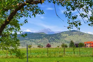 6541 St Vrain Rd, Longmont, CO 80503 - Photo 36