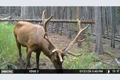 0 Twin Spruce Rd, Golden, CO 80403 - Photo 20