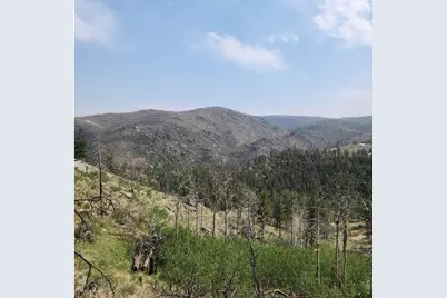693 Cougar Dr, Bellvue, CO 80512 - Photo 46