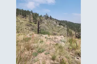 693 Cougar Dr, Bellvue, CO 80512 - Photo 40
