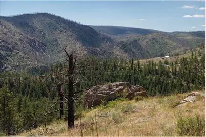693 Cougar Dr, Bellvue, CO 80512 - Photo 34
