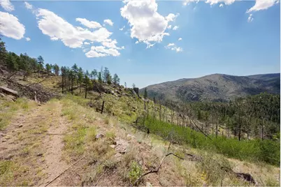 693 Cougar Dr, Bellvue, CO 80512 - Photo 22