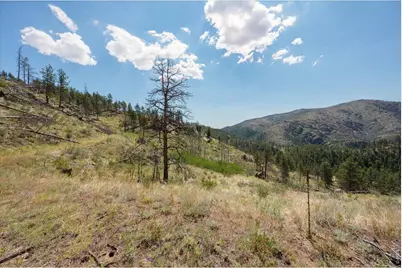 693 Cougar Dr, Bellvue, CO 80512 - Photo 18