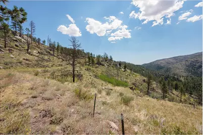 693 Cougar Dr, Bellvue, CO 80512 - Photo 16