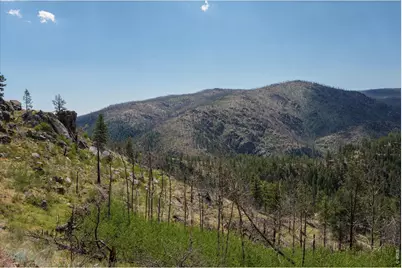 693 Cougar Dr, Bellvue, CO 80512 - Photo 28