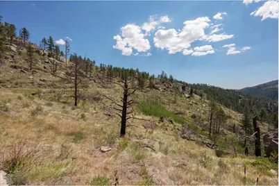 693 Cougar Dr, Bellvue, CO 80512 - Photo 30