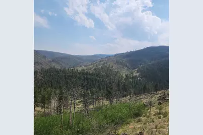 693 Cougar Dr, Bellvue, CO 80512 - Photo 48