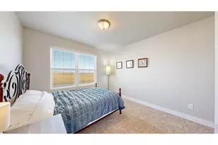 4985 Goya Ct, Loveland, CO 80538 - Photo 22