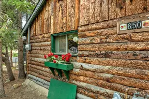 650 W Pine St, Nederland, CO 80466 - Photo 4