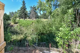 1615 Cottonwood Dr, Louisville, CO 80027 - Photo 16
