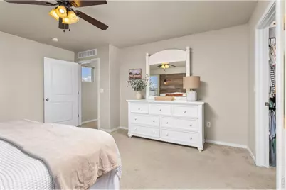 3118 Carney St, Loveland, CO 80538 - Photo 20