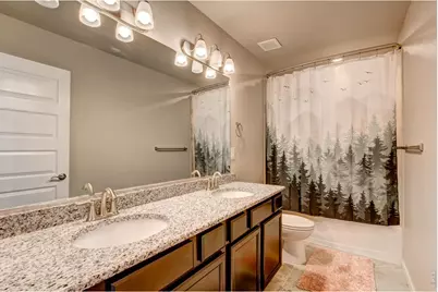 2137 Honeybee Dr, Windsor, CO 80550 - Photo 30