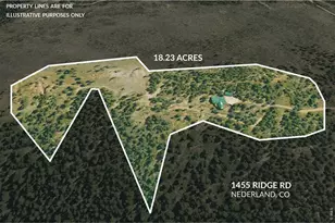 1455 Ridge Rd, Nederland, CO 80466 - Photo 42