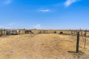 7622 N County Rd 19, Fort Collins, CO 80524 - Photo 38