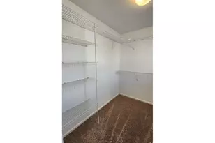 4502 Teller Pl, Loveland, CO 80538 - Photo 26