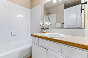 894 Durum St, Windsor, CO 80550 - Photo 24