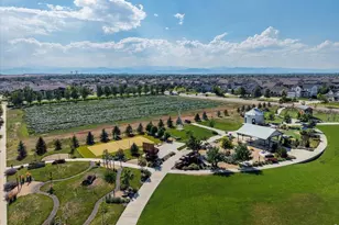 1530 Waterfront Dr, Windsor, CO 80550 - Photo 46