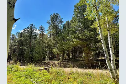 312 Ridge Rd, Ward, CO 80481 - Photo 10