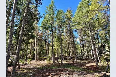312 Ridge Rd, Ward, CO 80481 - Photo 8
