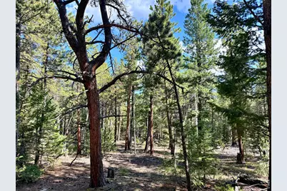 312 Ridge Rd, Ward, CO 80481 - Photo 6