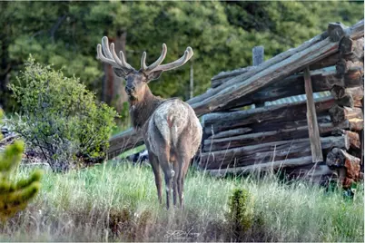 312 Ridge Rd, Ward, CO 80481 - Photo 18