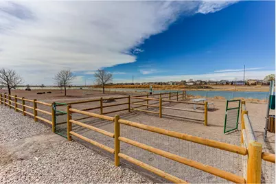 826 Elias Tarn Dr, Severance, CO 80550 - Photo 36