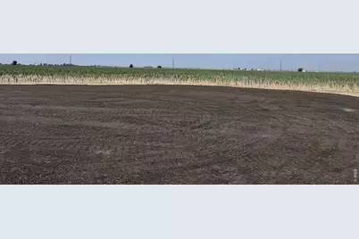 0 Highway 52 #Lot 4, Keenesburg, CO 80643 - Photo 6
