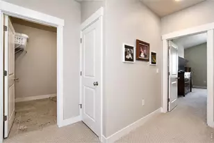 6245 Vernazza Way, Windsor, CO 80550 - Photo 22