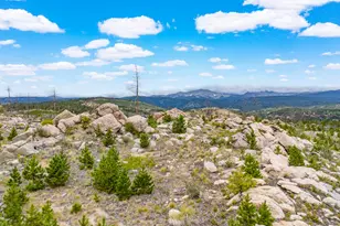 2607 Ridge Rd, Nederland, CO 80466 - Photo 42