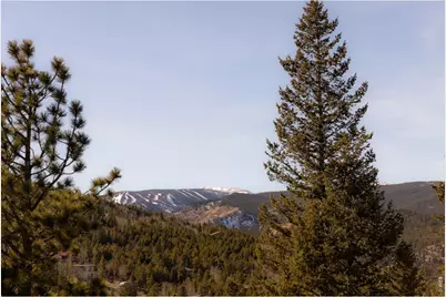 103 W Wildewood Dr, Nederland, CO 80466 - Photo 24