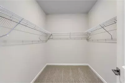 678 Noola St, Windsor, CO 80550 - Photo 20