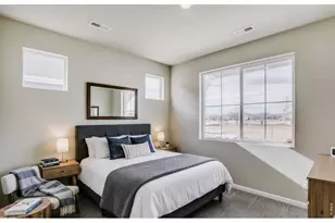 617 Noola St, Windsor, CO 80550 - Photo 22