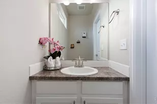 385 Littlebrook Ct, Windsor, CO 80550 - Photo 6