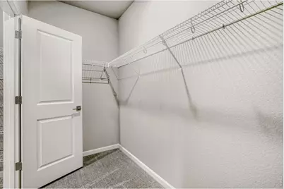 648 Noola St, Windsor, CO 80550 - Photo 20