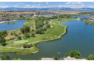 2163 Longfin Dr, Windsor, CO 80550 - Photo 44