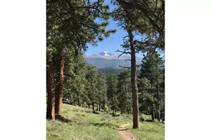 2340 Eagle Cliff Rd, Estes Park, CO 80517 - Photo 12
